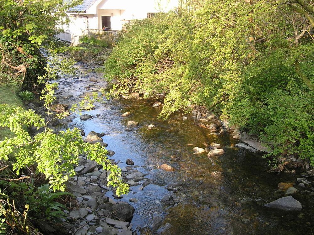 Whistlers Dell B&B Rhu Екстериор снимка